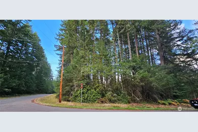 10115 Edgewood Drive, Anderson Island, WA 98303 - Photo 1