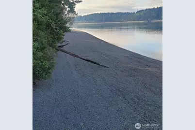 12726 96th Street Ct, Anderson Island, WA 98303 - Photo 39