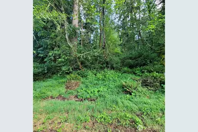 12726 96th Street Ct, Anderson Island, WA 98303 - Photo 1