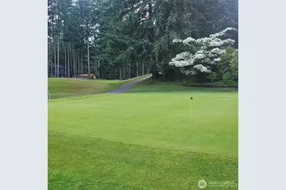 12726 96th Street Ct, Anderson Island, WA 98303 - Photo 7