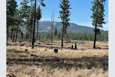 0 Lee Road, Goldendale, WA 98620 - Photo 1