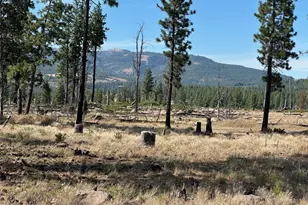 0 Lee Rd, Goldendale, WA 98620 - Photo 1