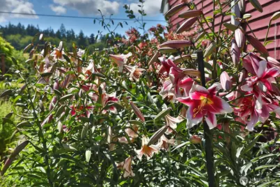 730 Gleason Ln, Langley, WA 98260 - Photo 37