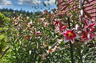 730 Gleason Ln, Langley, WA 98260 - Photo 37