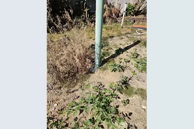 12657 NE 104th Street, Kirkland, WA 98033 - Photo 9