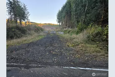 0 Nka Smith Creek Road, Raymond, WA 98577 - Photo 9