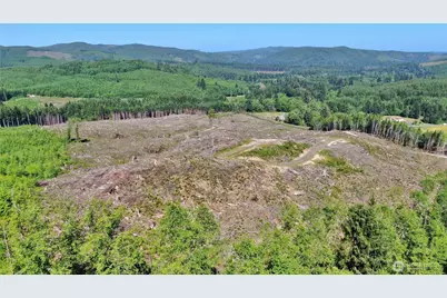 0 Nka Smith Creek Road, Raymond, WA 98577 - Photo 7