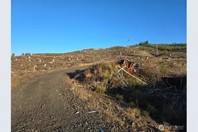 0 Nka Smith Creek Road, Raymond, WA 98577 - Photo 13
