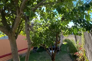 700 Crosby Ave, Oak Harbor, WA 98277 - Photo 15