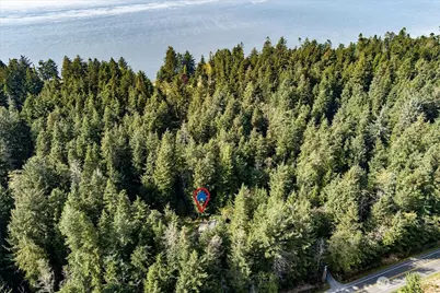 3100 Sea Eagle Lane, Greenbank, WA 98253 - Photo 33