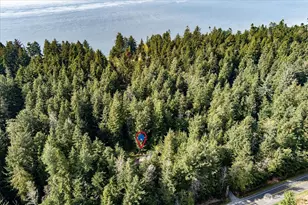 3100 Sea Eagle Ln, Greenbank, WA 98253 - Photo 33