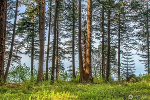 64 Barn Owl Trl, Orcas Island, WA 98245 - Photo 25