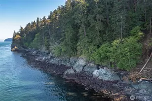 64 Barn Owl Trl, Orcas Island, WA 98245 - Photo 21