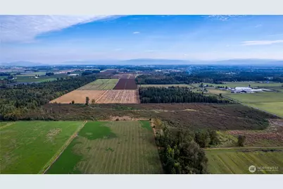 0 Willeys Lake Road, Custer, WA 98240 - Photo 13