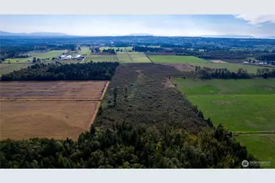 0 Willeys Lake Road, Custer, WA 98240 - Photo 9