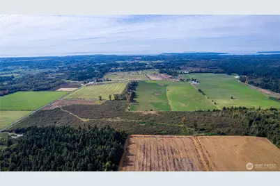 0 Willeys Lake Road, Custer, WA 98240 - Photo 7