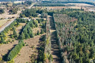 1956 US Hwy 12, Ethel, WA 98542 - Photo 35