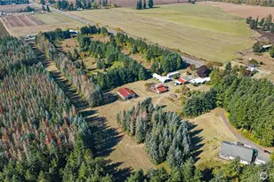 1956 US Hwy 12, Ethel, WA 98542 - Photo 37