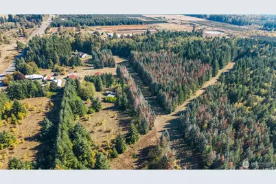 1950 US Highway 12, Ethel, WA 98542 - Photo 7