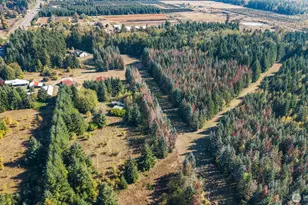 1950 US Hwy 12, Ethel, WA 98542 - Photo 7