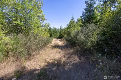 0 173rd Avenue SE, Yelm, WA 98597 - Photo 17