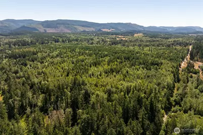 0 173rd Avenue SE, Yelm, WA 98597 - Photo 11