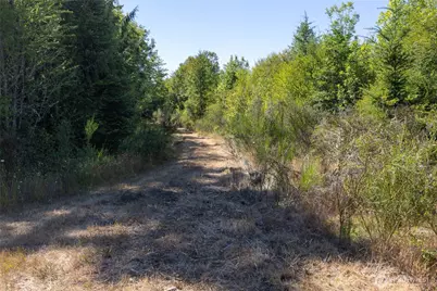 0 173rd Avenue SE, Yelm, WA 98597 - Photo 19