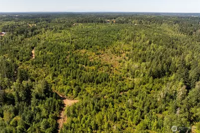 0 173rd Avenue SE, Yelm, WA 98597 - Photo 9