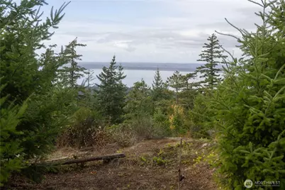 157 Chuckanut Crest Drive, Bellingham, WA 98229 - Photo 15