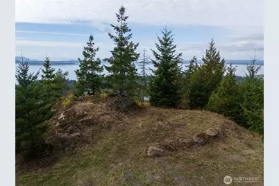 157 Chuckanut Crest Drive, Bellingham, WA 98229 - Photo 21