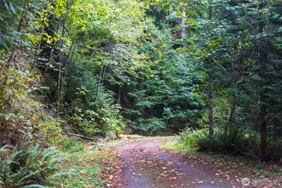 157 Chuckanut Crest Drive, Bellingham, WA 98229 - Photo 11