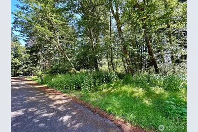 10312 Matthews, Anderson Island, WA 98303 - Photo 5