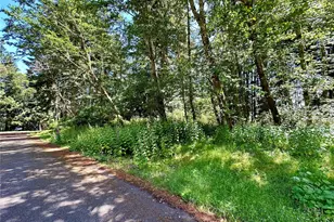 10312 Matthews, Anderson Island, WA 98303 - Photo 5