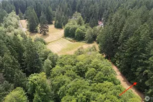 10213 Edgewood Dr, Anderson Island, WA 98303 - Photo 1