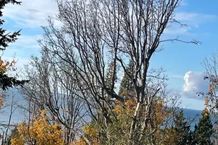 8795 Charel Dr, Blaine, WA 98230 - Photo 5