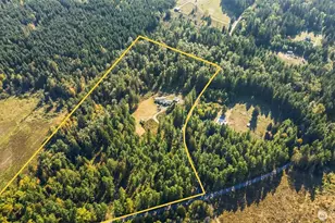 36003 36th Ave E, Eatonville, WA 98328 - Photo 3