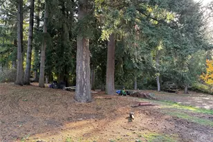 18228 118th Ave SE, Renton, WA 98058 - Photo 39