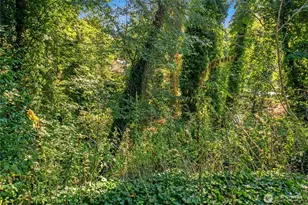 1251 S 230th St, Des Moines, WA 98198 - Photo 27