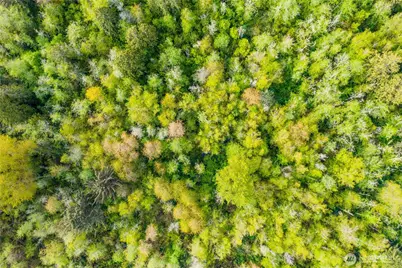 0 Xx 188th Street NE, Arlington, WA 98223 - Photo 5