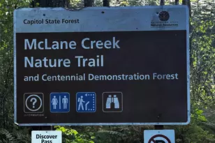 4131 Delphi Rd SW, Olympia, WA 98512 - Photo 39