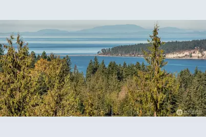 337 Louella Road, Sequim, WA 98382 - Photo 3