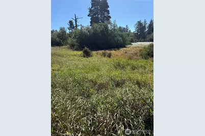 0 245th Lane, Ocean Park, WA 98640 - Photo 9