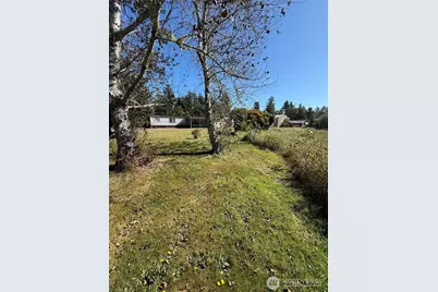 0 245th Lane, Ocean Park, WA 98640 - Photo 5