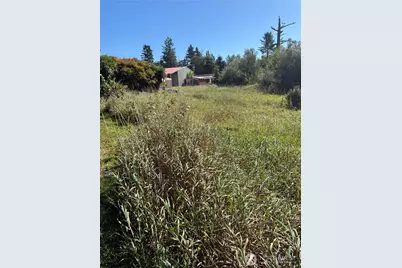 0 245th Lane, Ocean Park, WA 98640 - Photo 7