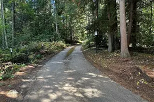 24703 NE State Route 3, Belfair, WA 98528 - Photo 39