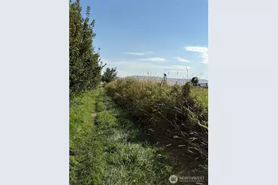 1 Mountain View  Rd, Grandview, WA 98930 - Photo 19