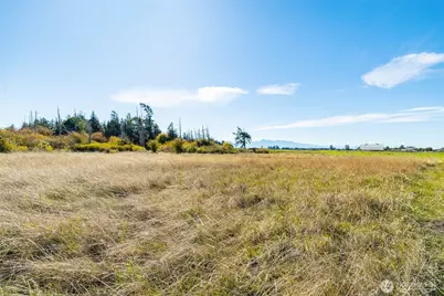 982 E Anderson Road, Sequim, WA 98382 - Photo 29