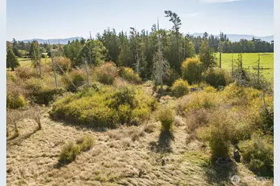 982 E Anderson Road, Sequim, WA 98382 - Photo 39