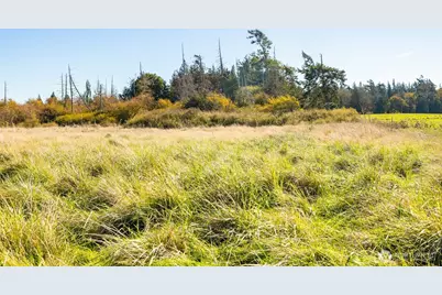 982 E Anderson Road, Sequim, WA 98382 - Photo 11