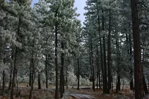 355 Tamarack, Goldendale, WA 98620 - Photo 37